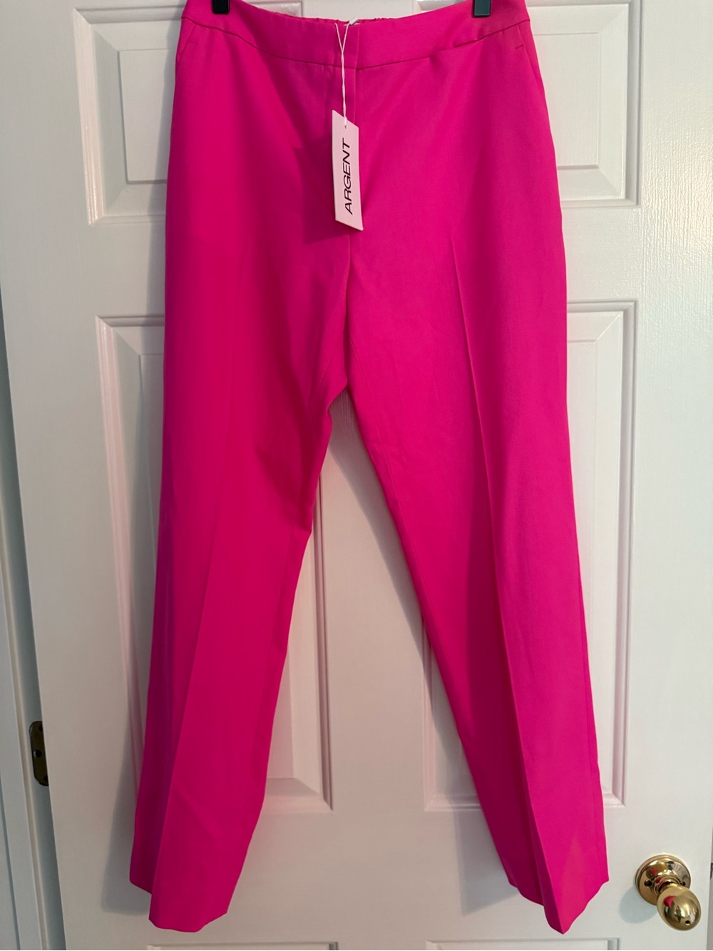 Argent Hot Pink Tailored Pants